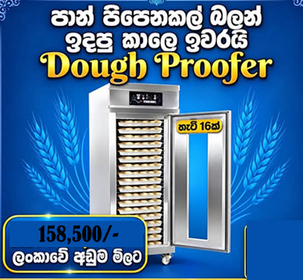 bakery dough proofer for sale in colombo